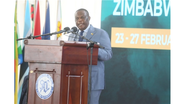 Energy reforms to drive industrialisation and end power deficits: VP Chiwenga