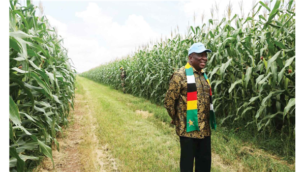 Five-star agric performance