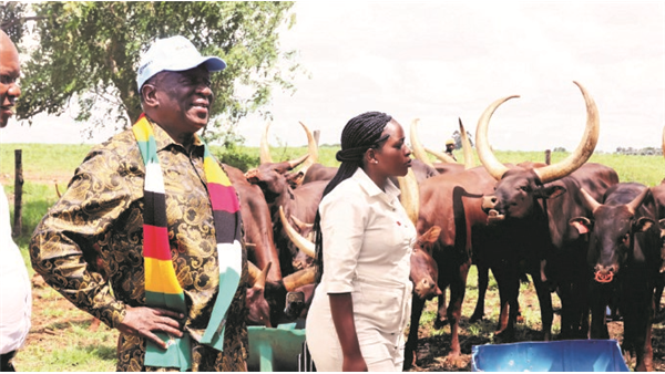 https://www.herald.co.zw/zim-challenged-to-be-innovative-foster-productivity-in-agric/